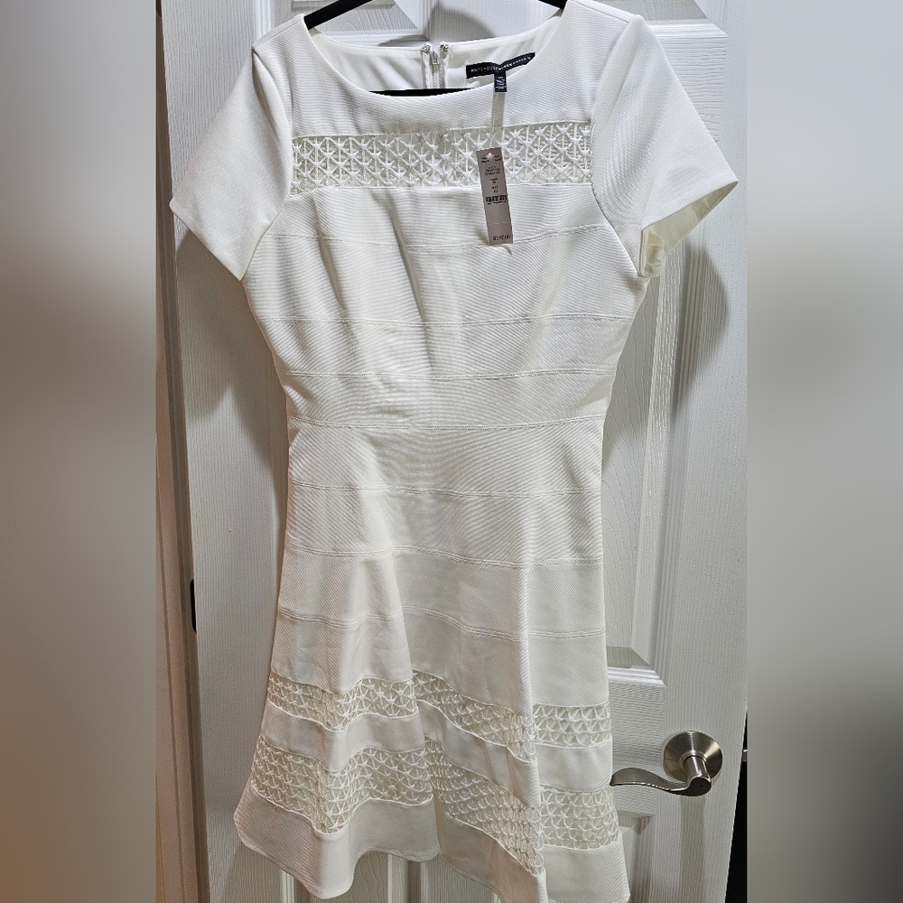 Rare White House Black Market Lace Insert Fit & Flare Dress - Size 10 NWT - Picture 4 of 6